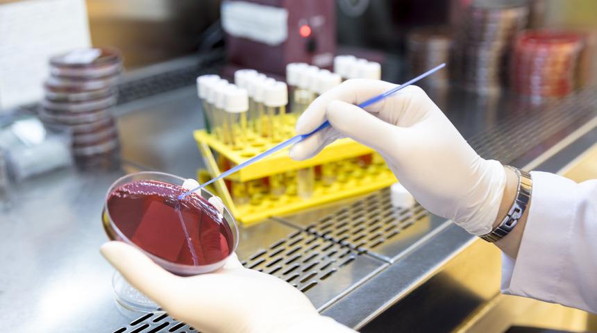 Dünya koronayı konuşuyor ama asıl tehlike kapıda: Bir çizik bile öldürebilir