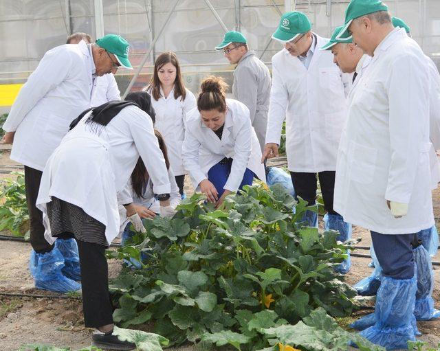 Kayseri Şeker Ar-Ge Merkezi’nin ortak olduğu uluslararası projeye Avrupa Komisyonu’ndan tam destek