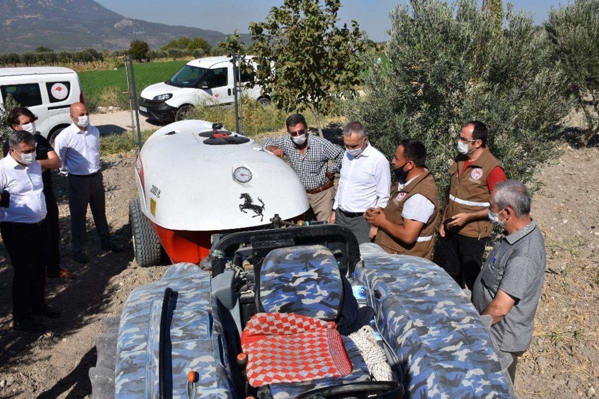 Manisa&rsquo;da zeytin sineği ile m&uuml;cadelede yeni y&ouml;ntem