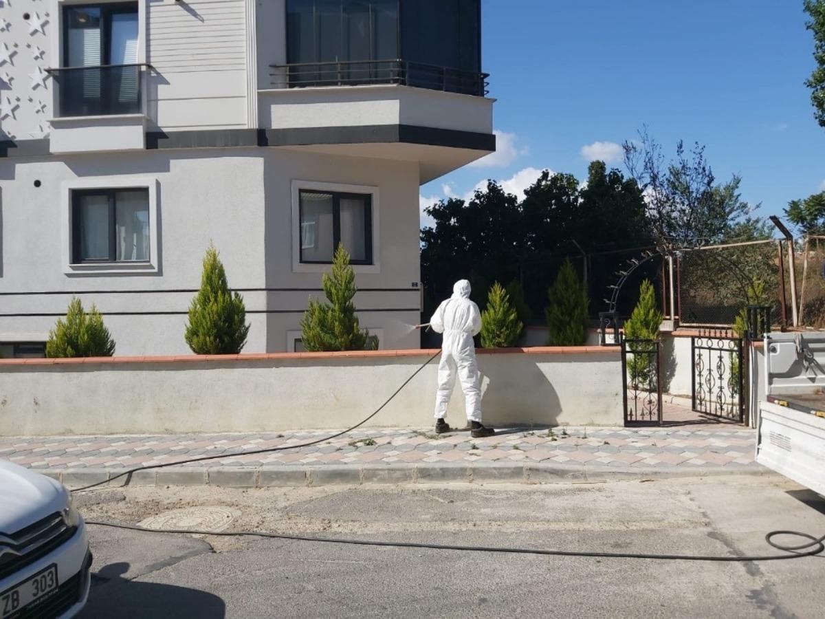 Gebze Belediyesi &lsquo;dantel b&ouml;ceği&rsquo;ne karşı m&uuml;cadelesini s&uuml;rd&uuml;r&uuml;yor.