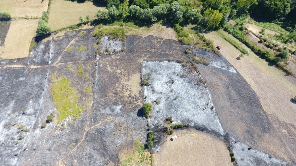 Sinop&rsquo;ta yangın: 150 d&ouml;n&uuml;m tarım arazisi zarar g&ouml;rd&uuml;