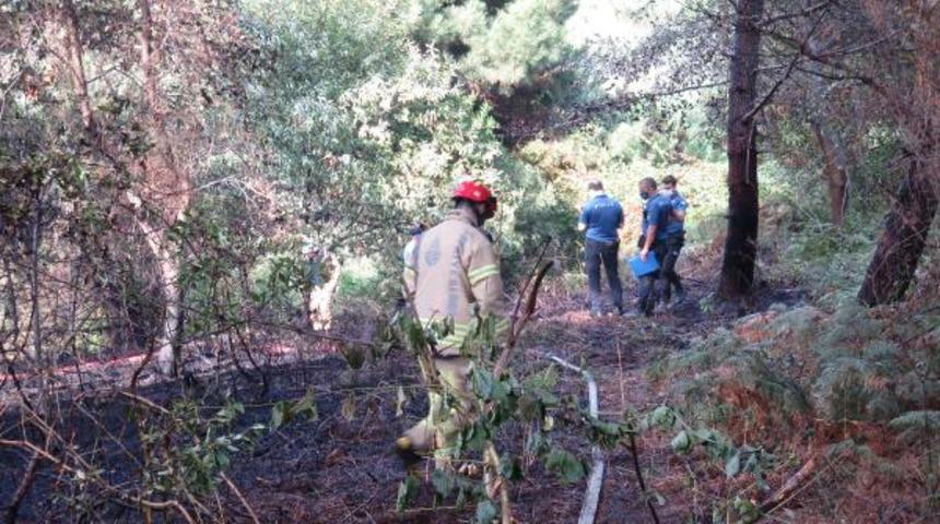 Son dakika: Beykoz'da orman yangını!