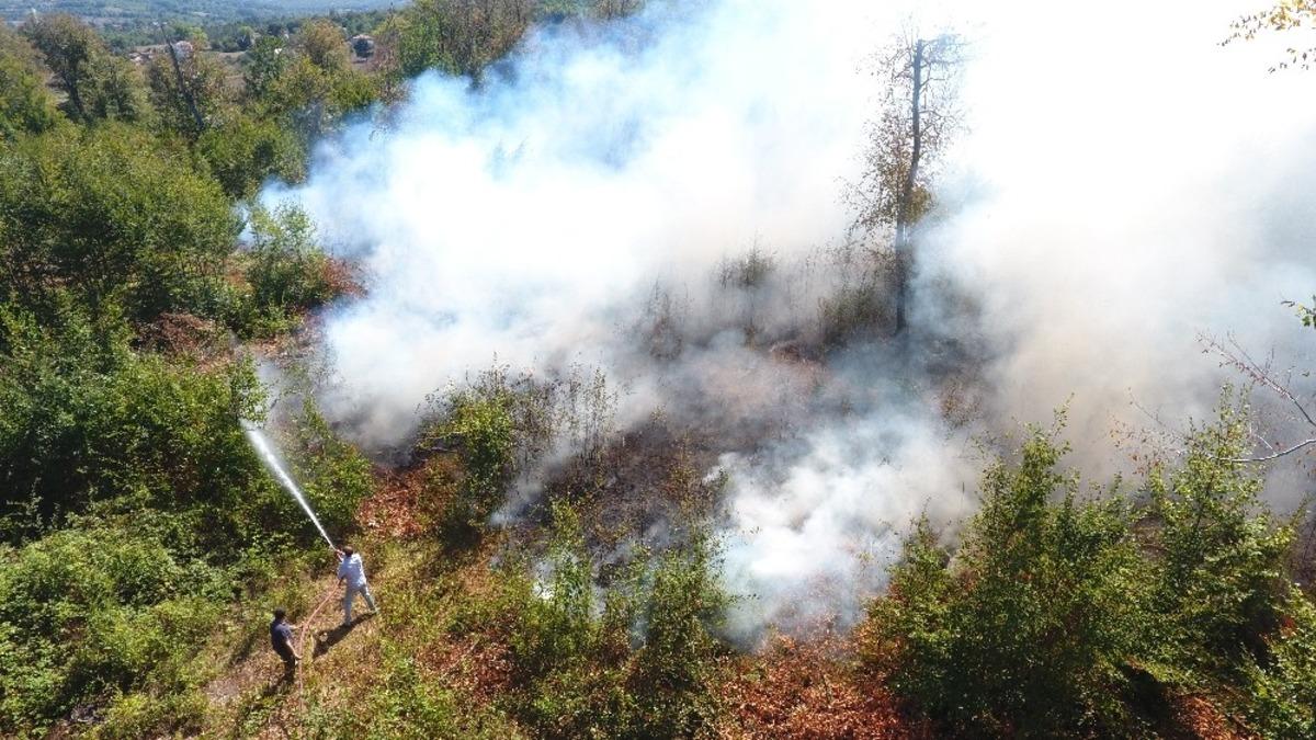 Sinop Erfelek&rsquo;te orman yangını