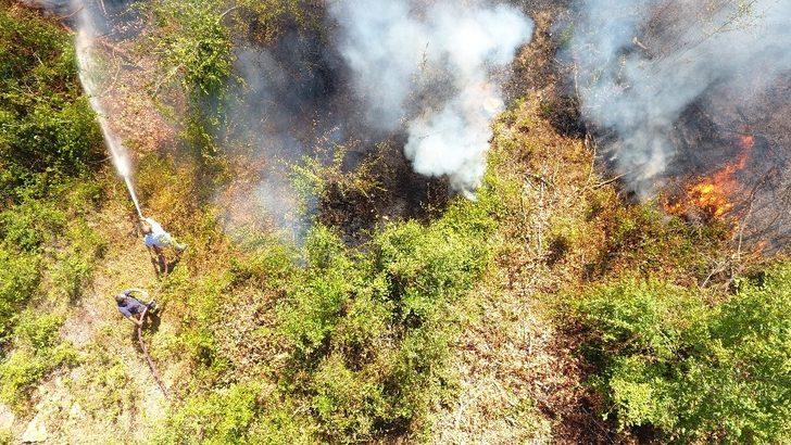 Sinop Erfelek’te orman yangını G3