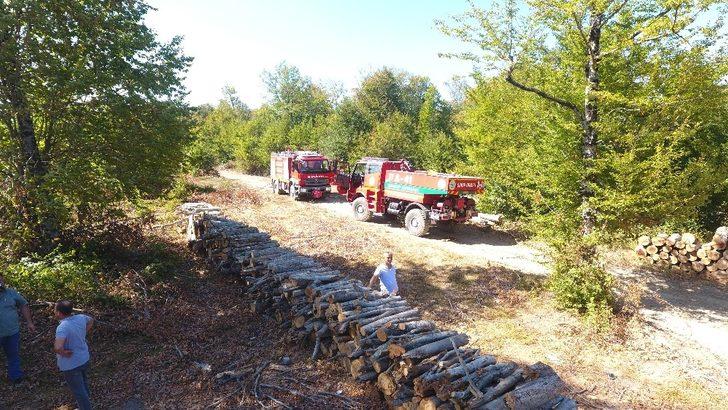 Sinop Erfelek’te orman yangını G4