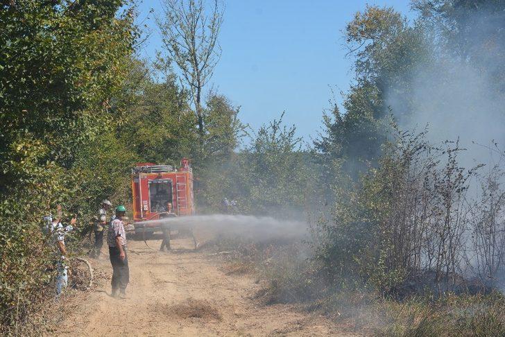 Sinop Erfelek’te orman yangını G5