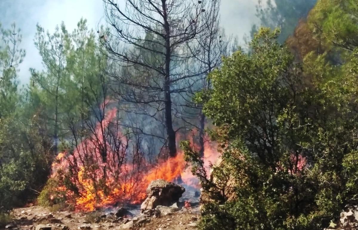 Kavaklıdere yangını kontrol altında