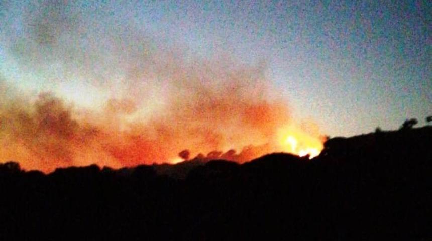 &Ccedil;ine&rsquo;de orman yangını