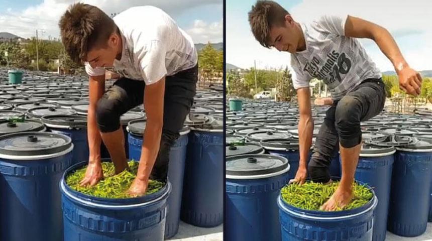 TikTok uğruna ayaklarıyla biberleri &ccedil;iğnedi! Cezası belli oldu