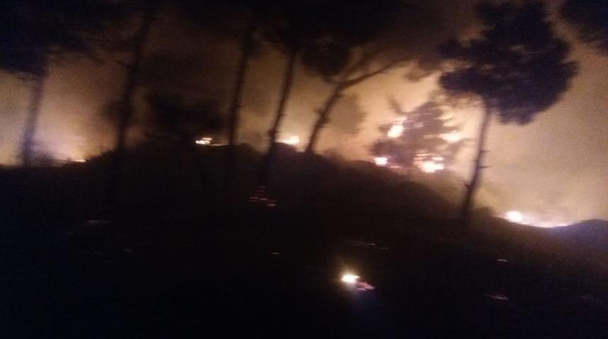 Aydın'da çıkan orman yangını kontrol altına alındı