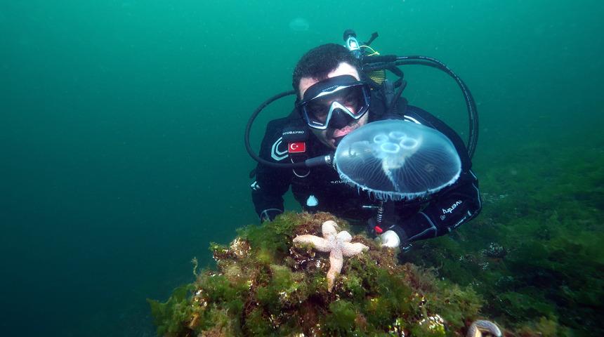Marmara'da g&ouml;r&uuml;len ay denizanası i&ccedil;in uyarı: Değdiğinde yakar