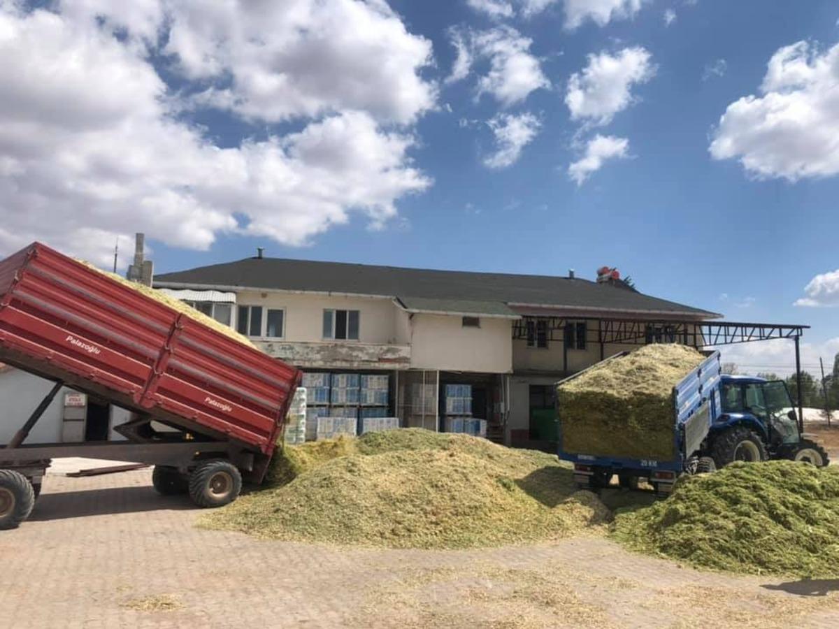 Aslanapa&rsquo;da "Silaj paketleme tesisi" hizmet vermeye başladı