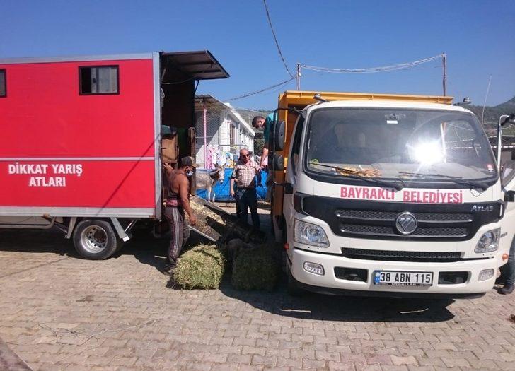 Yavru yılkı atı emin ellerde G2