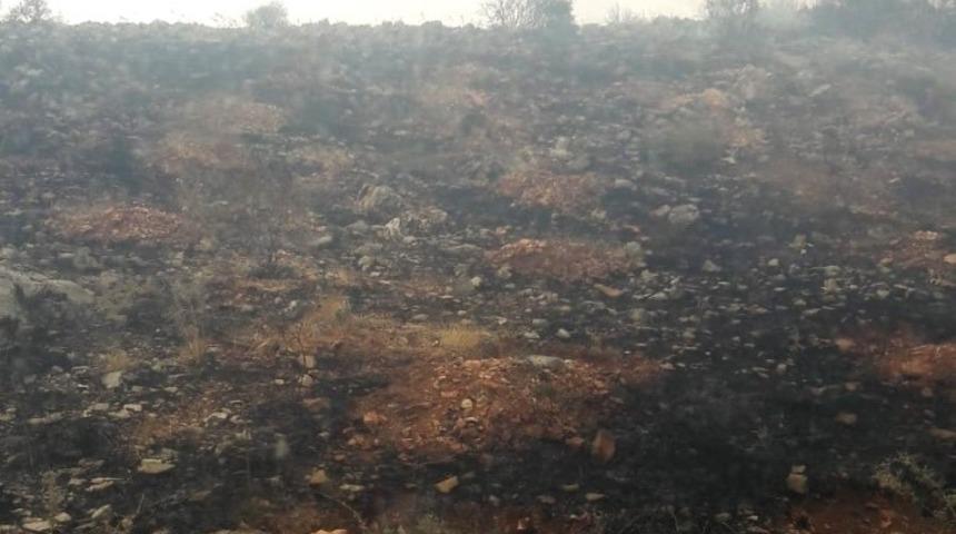 Yıldırım d&uuml;şmesi yangına neden oldu