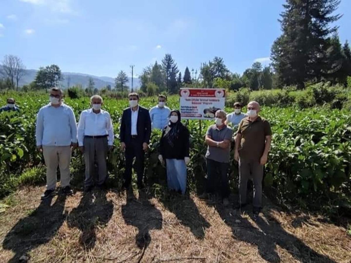 Kadın &ccedil;ift&ccedil;iler tarımsal yeniliklerle buluşuyor
