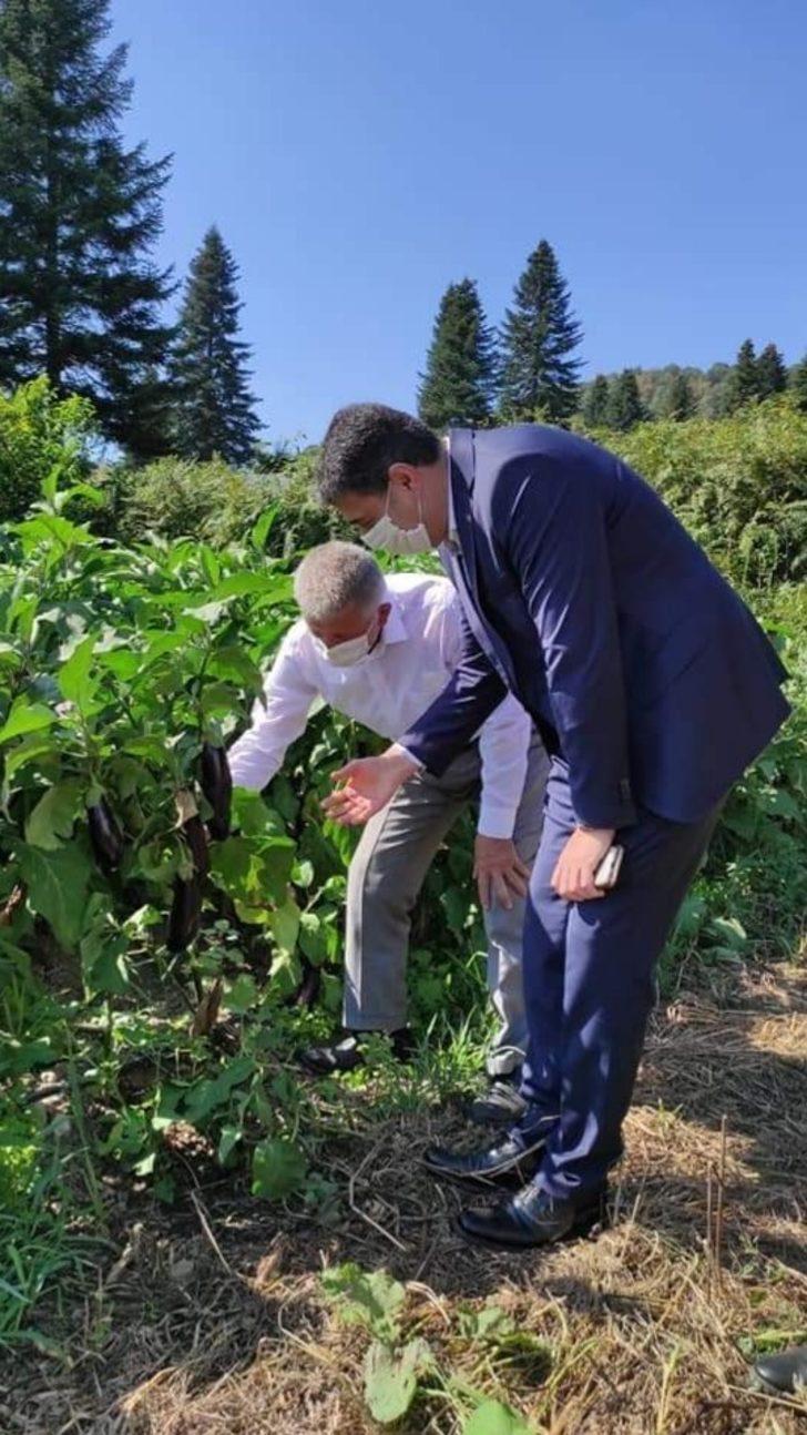 Kadın çiftçiler tarımsal yeniliklerle buluşuyor G4