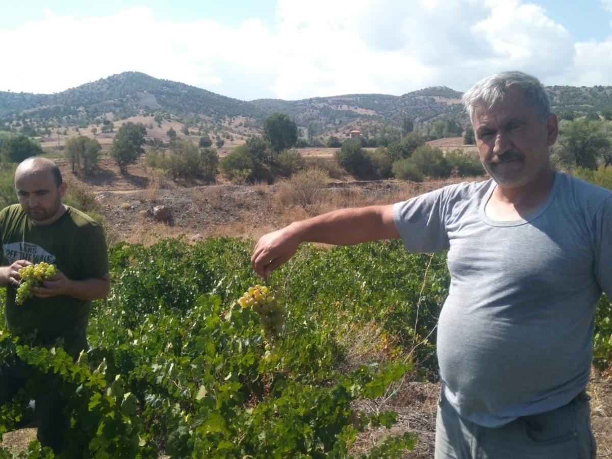 Yozgat&rsquo;ta pekmez kazanları kaynamaya başladı