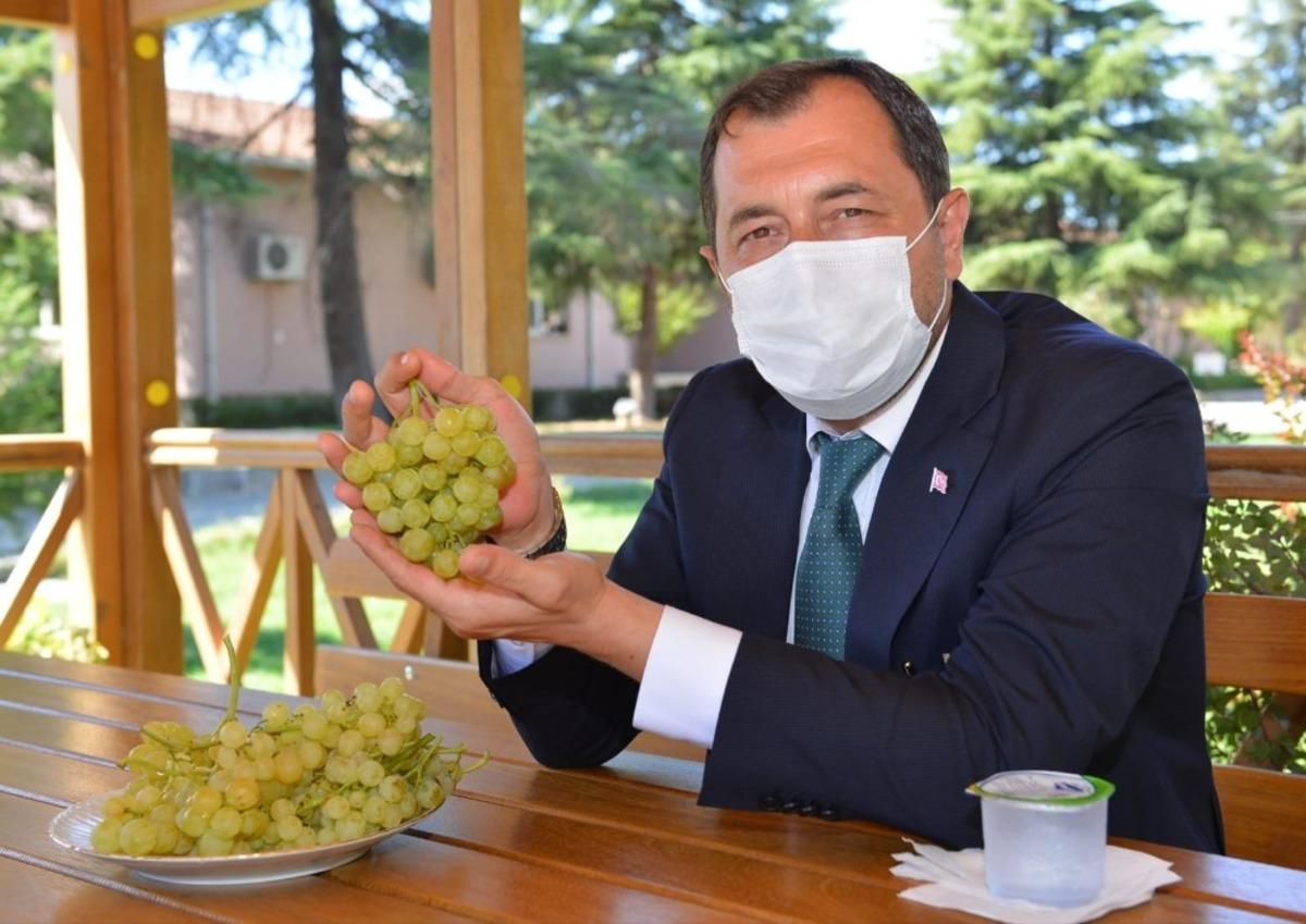 Bağcılık Araştırma Enstit&uuml;s&uuml; &uuml;r&uuml;nleri, Rumeli İskelesi&rsquo;nde halka sunulacak