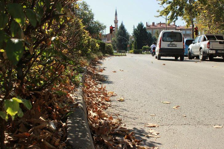 Eskişehir’de sararan ilk yapraklar yere düştü G5
