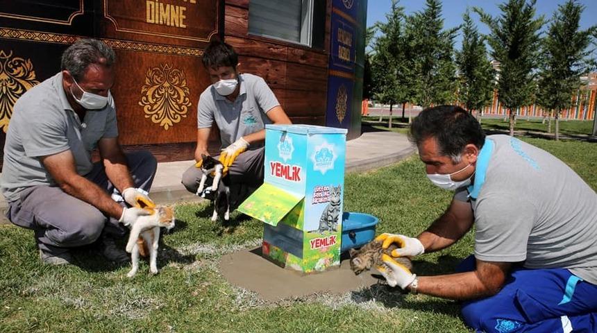 Aksaray&rsquo;da sokak hayvanları i&ccedil;in yemliklere mama ve su takviyesi yapılıyor