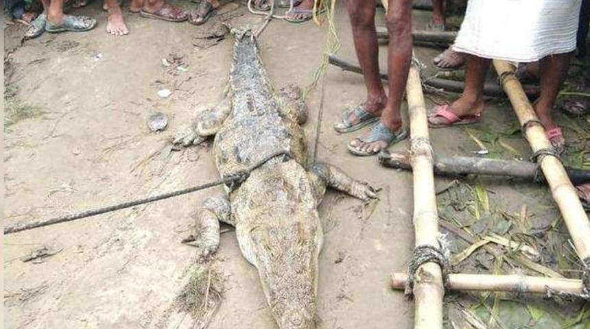 Timsahı rehin alıp 680 dolar fidye istediler