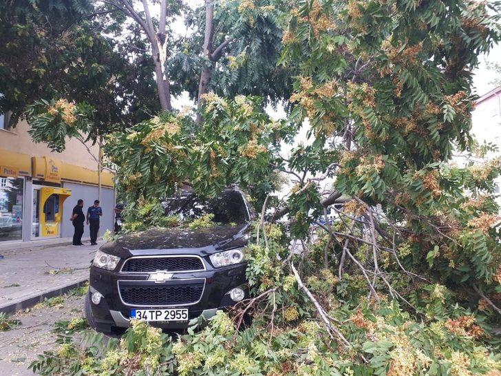Erzincan’da rüzgar maddi zarara yol açtı G1