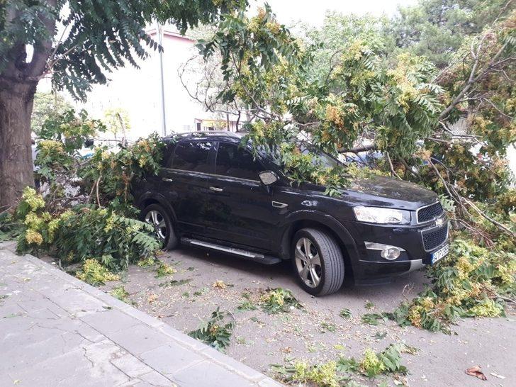 Erzincan’da rüzgar maddi zarara yol açtı G2