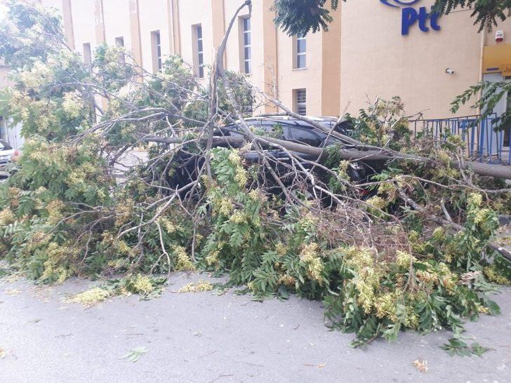 Erzincan’da rüzgar maddi zarara yol açtı G3