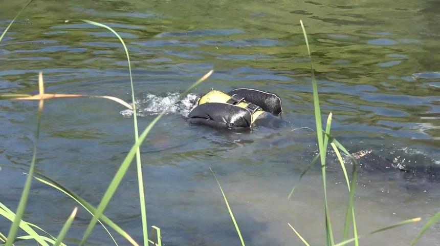 4 g&uuml;nd&uuml;r her yerde aranıyordu! Acı haber