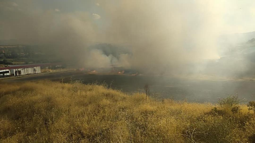 Bing&ouml;l&rsquo;de ot yangını