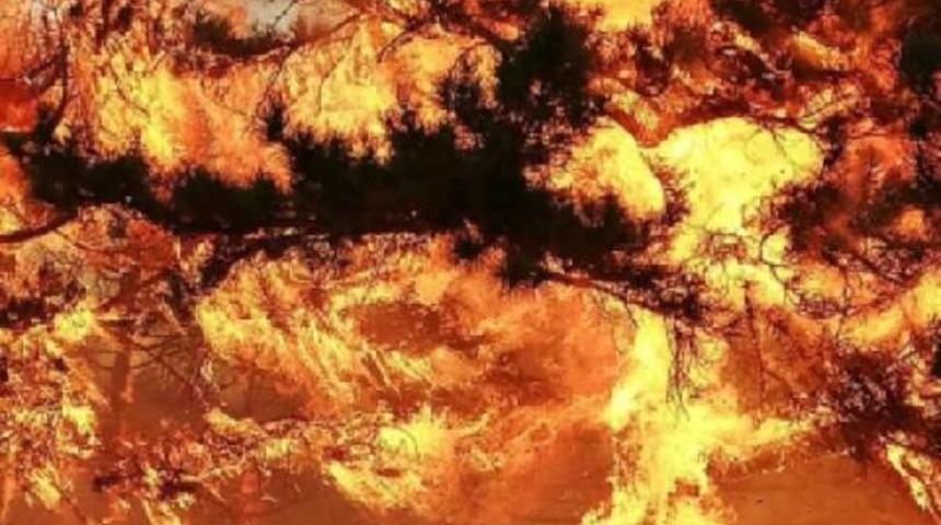 3 ilde orman yangınlarını s&ouml;nd&uuml;rme &ccedil;alışmaları s&uuml;r&uuml;yor