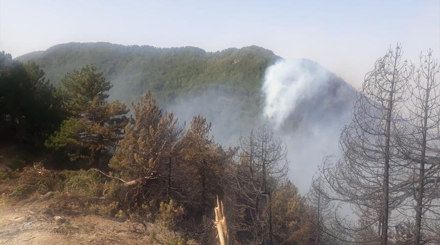 G&Uuml;NCELLEME - Hatay'daki orman yangını b&uuml;y&uuml;k &ouml;l&ccedil;&uuml;de kontrol altına alındı