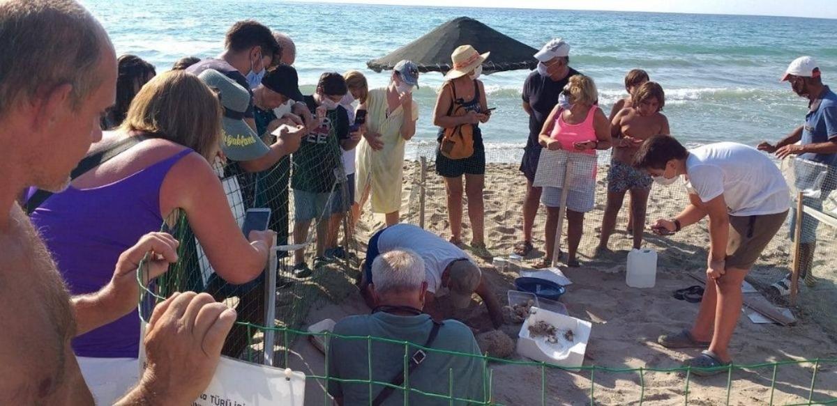 Kuşadası, caretta caretta yavruları i&ccedil;in yuva kontrol noktasına kavuştu