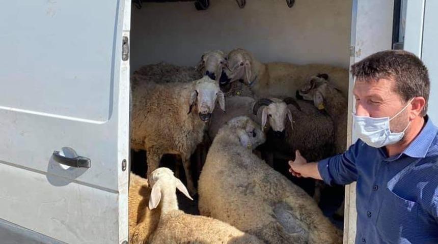 Babası korona vir&uuml;s&uuml; yendi aşevine 10 ko&ccedil; bağışladı