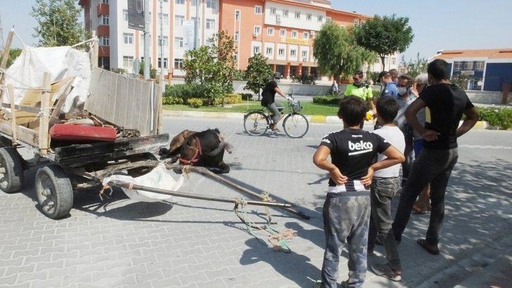 Burhaniye’de meydana gelen kazada yaralanan at uyutuldu G2