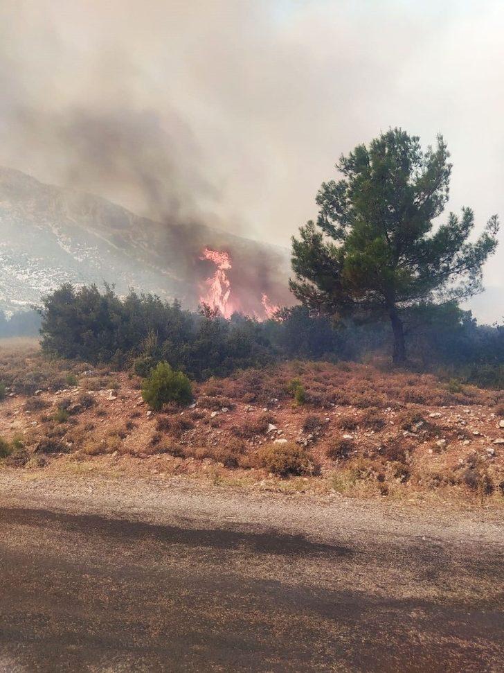 Manisa’da orman yangını G2