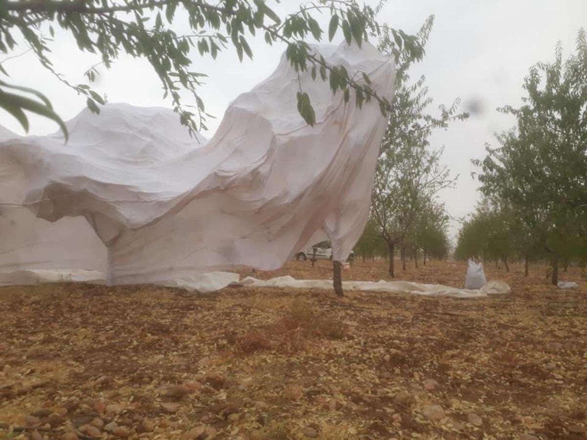 Şiddetli r&uuml;zgar &ccedil;ift&ccedil;ilere zor anlar yaşattı