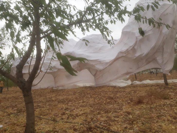 Şiddetli rüzgar çiftçilere zor anlar yaşattı G2