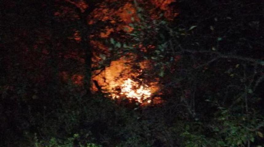 Ormana yıldırım d&uuml;şt&uuml;, yangın &ccedil;ıktı