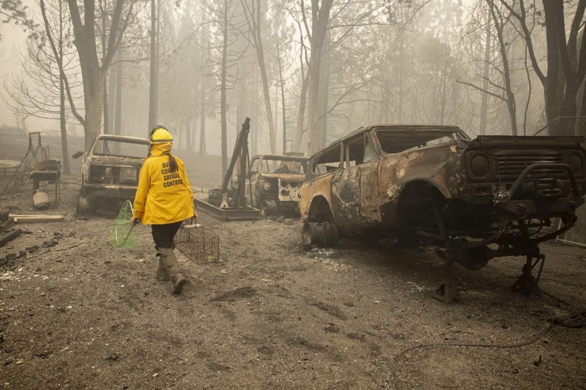 ABD&rsquo;deki orman yangınlarında &ouml;l&uuml; sayısı 33&rsquo;e y&uuml;kseldi