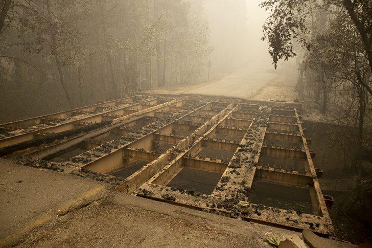 ABD’deki orman yangınlarında ölü sayısı 33’e yükseldi G4