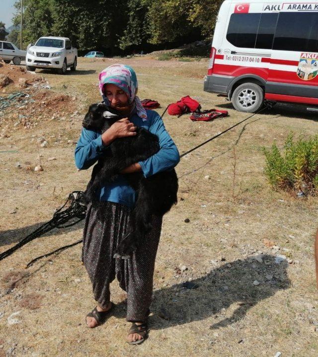 Kayalıklarda mahsur kalan yavru keçi AKUT ekiplerince kurtarıldı