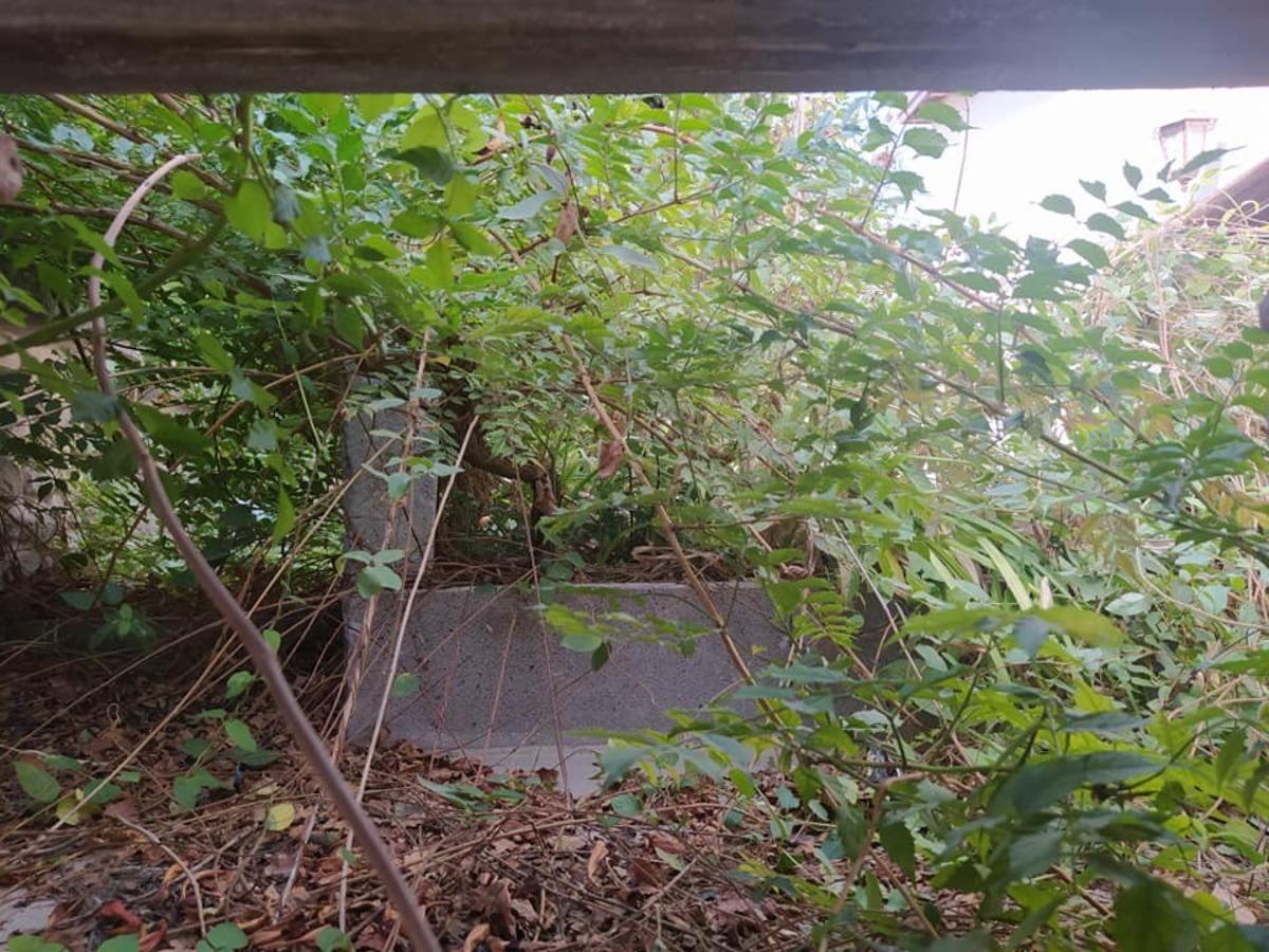 Ahteri Hazretleri&rsquo;nin kabri bakımsızlıktan adeta kayboldu