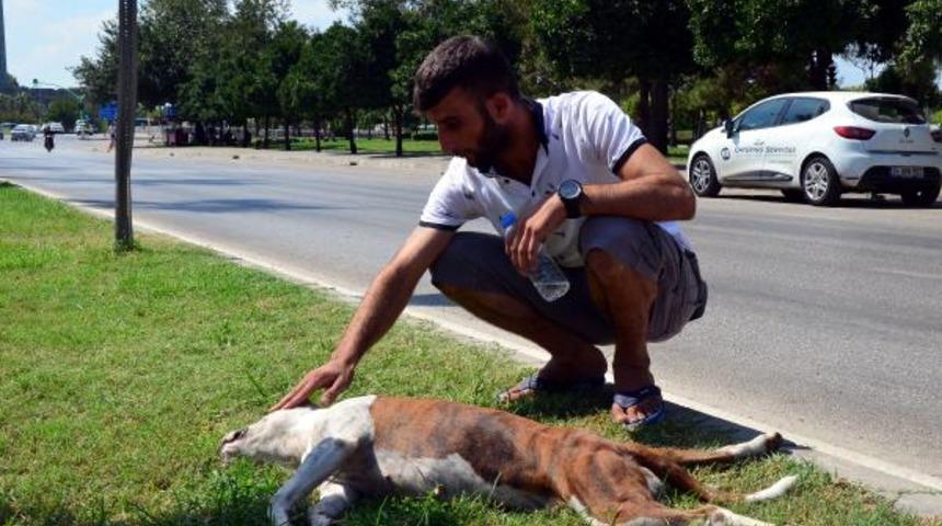 Başından ayrılmadı: En yakın dostumu kaybettim
