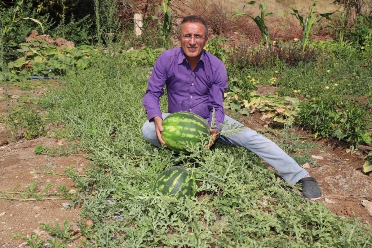 Hakkari karpuzu Diyarbakır&rsquo;a rakip oldu