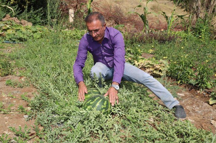 Hakkari karpuzu Diyarbakır’a rakip oldu G2