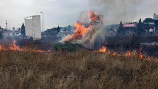 Milletvekiline meşaleli karşılama yangına neden oldu