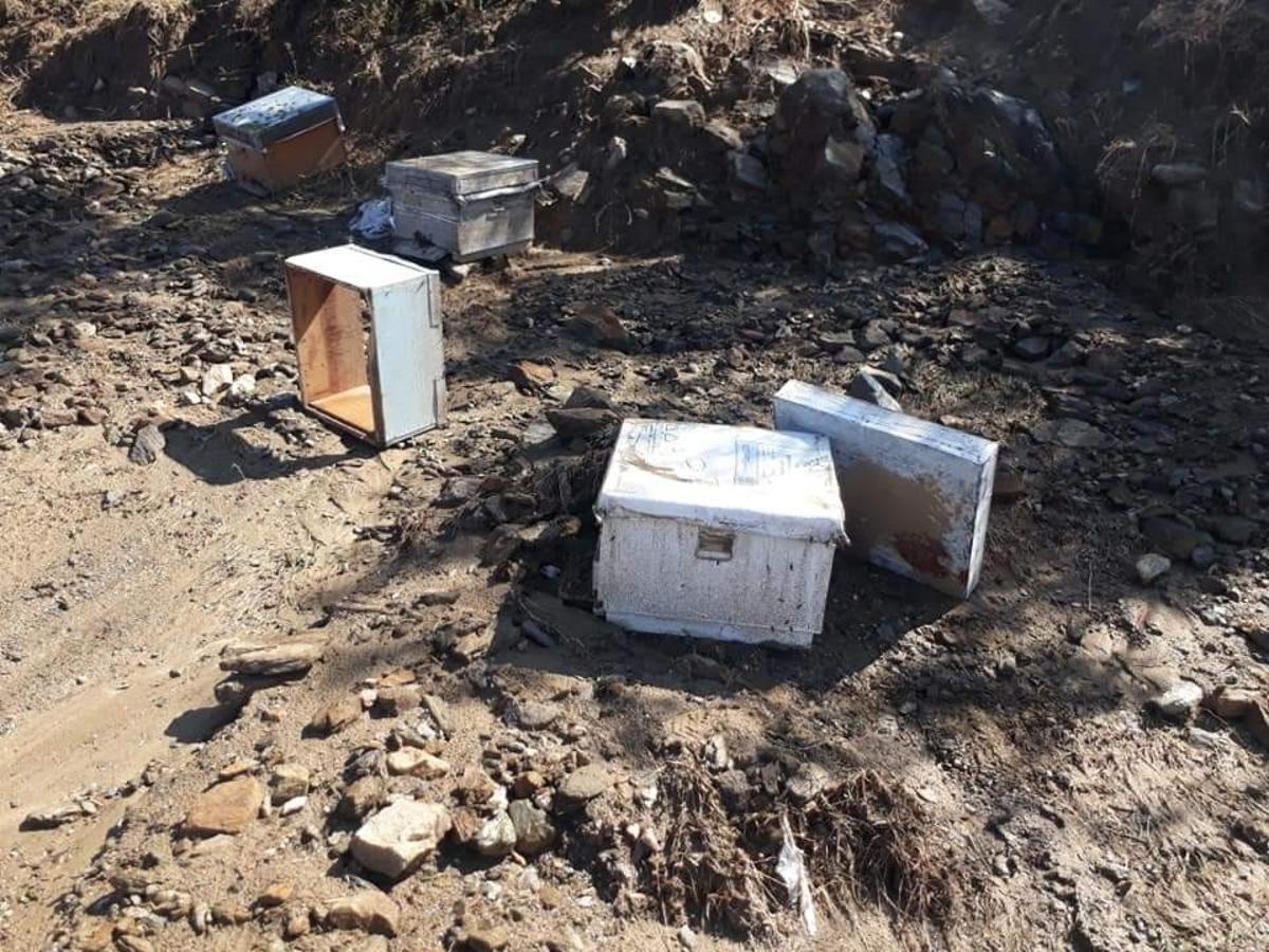 Denizli&rsquo;de etkili olan sağanak arıcılık yapan vatandaşı mağdur etti