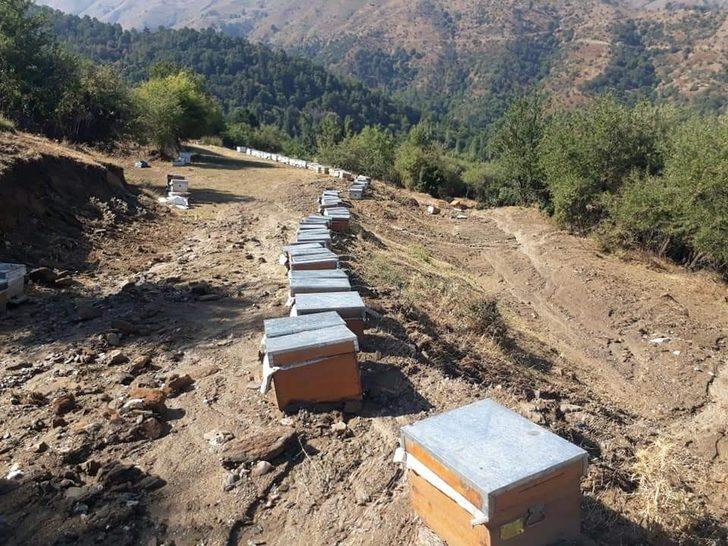 Denizli’de etkili olan sağanak arıcılık yapan vatandaşı mağdur etti G3