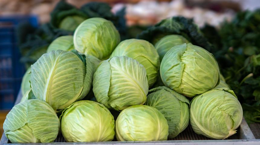 Lahanayı vücudunuza sarın ve 1 saat bekletin... Etkisine inanamayacaksınız! Tam bir şifa kaynağı 